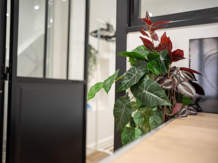Appartement Tout Equipe Au Coeur Du Panier Vieux Port Marseille Eksteriør billede
